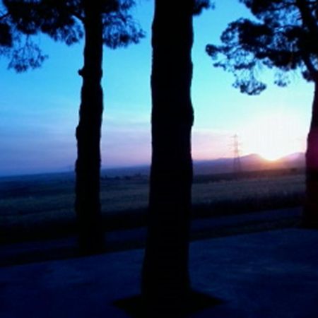 Agriturismo Toscanella Montebello ภายนอก รูปภาพ