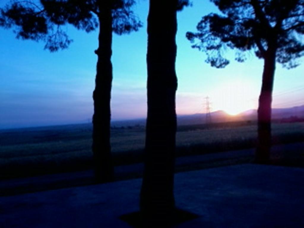 Agriturismo Toscanella Montebello ภายนอก รูปภาพ