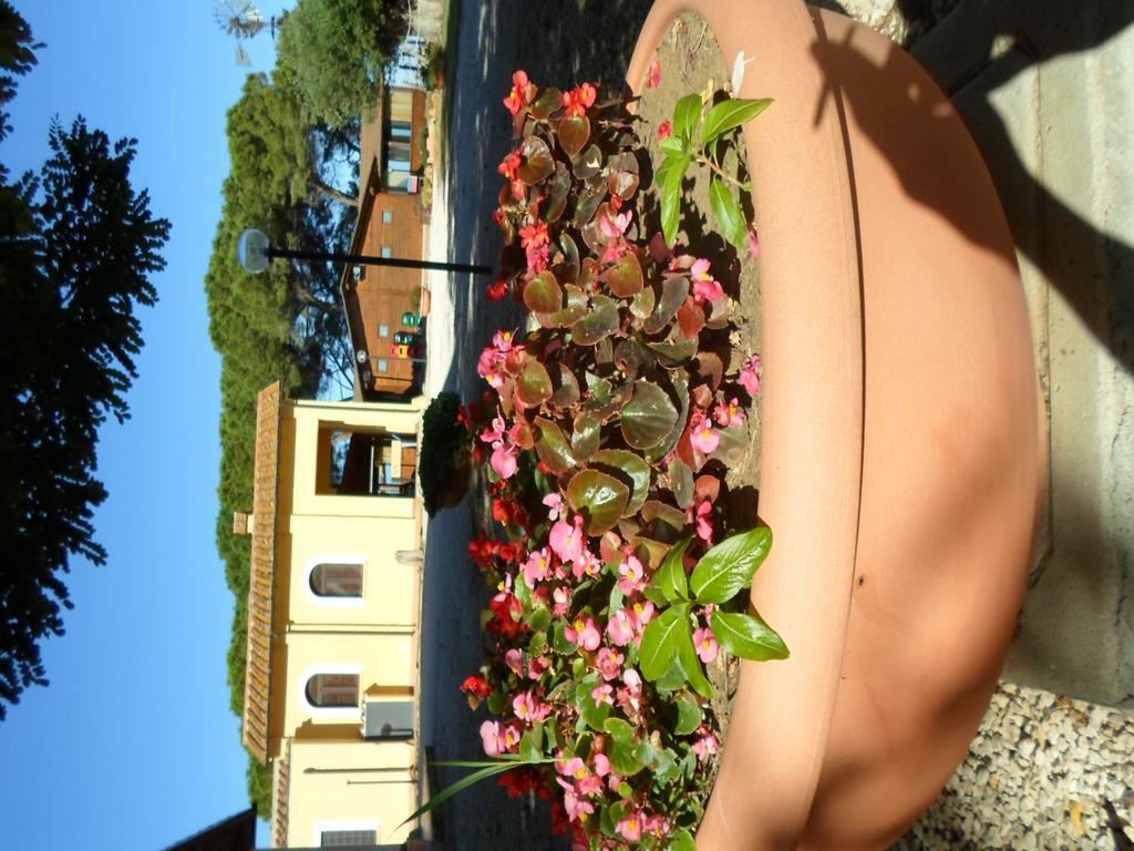 Agriturismo Toscanella Montebello ภายนอก รูปภาพ